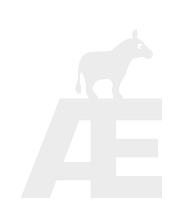 ZOO·FABET Æ bogstav i hvid metal